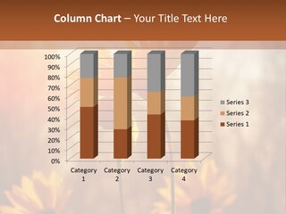 Season Beauty Sunset PowerPoint Template