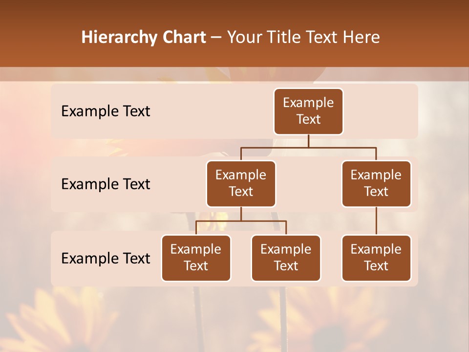 Season Beauty Sunset PowerPoint Template