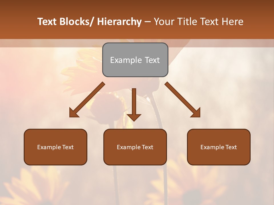 Season Beauty Sunset PowerPoint Template