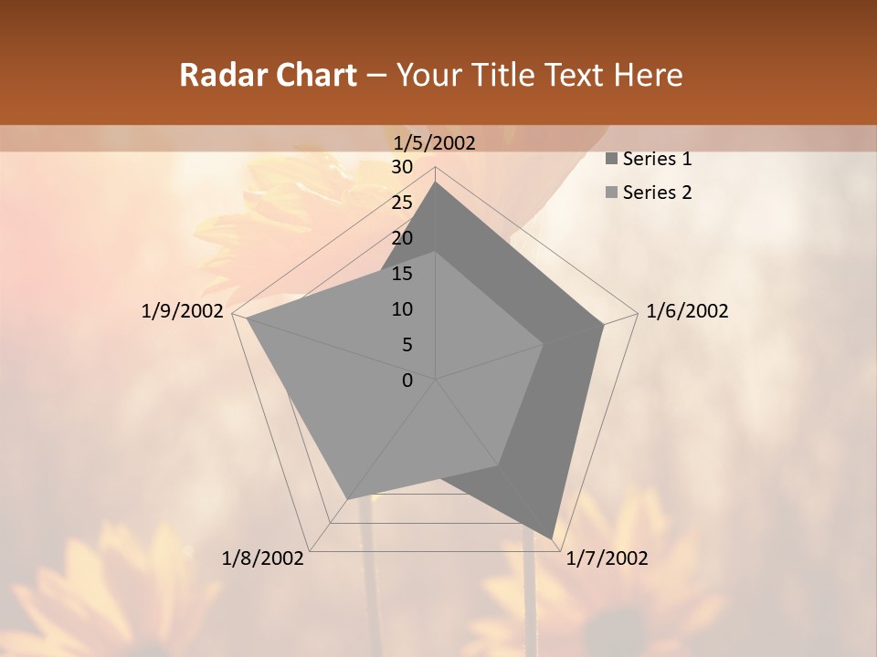 Season Beauty Sunset PowerPoint Template