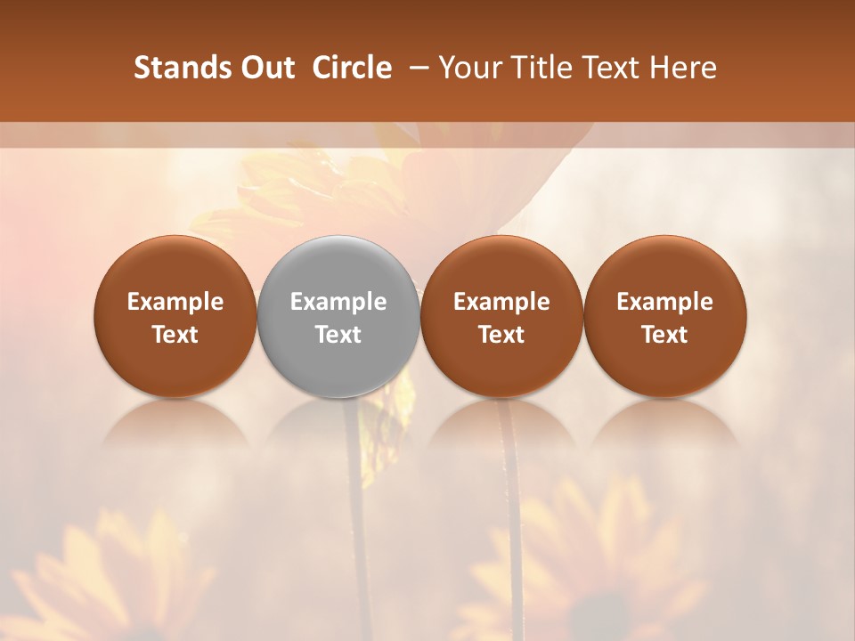 Season Beauty Sunset PowerPoint Template