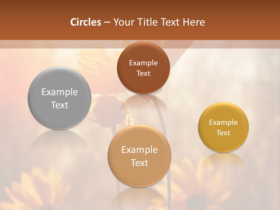 Season Beauty Sunset PowerPoint Template
