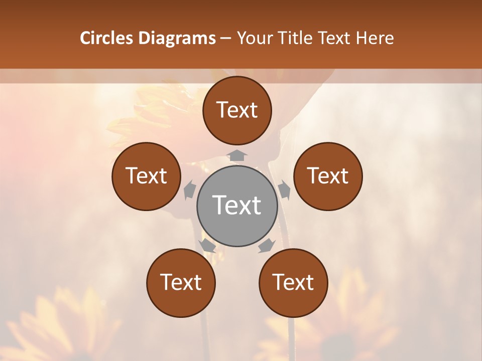 Season Beauty Sunset PowerPoint Template