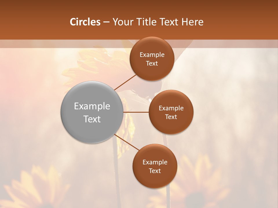 Season Beauty Sunset PowerPoint Template