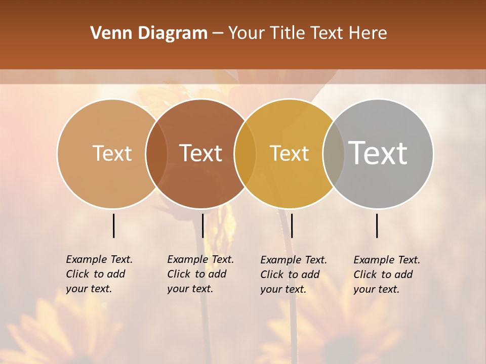 Season Beauty Sunset PowerPoint Template
