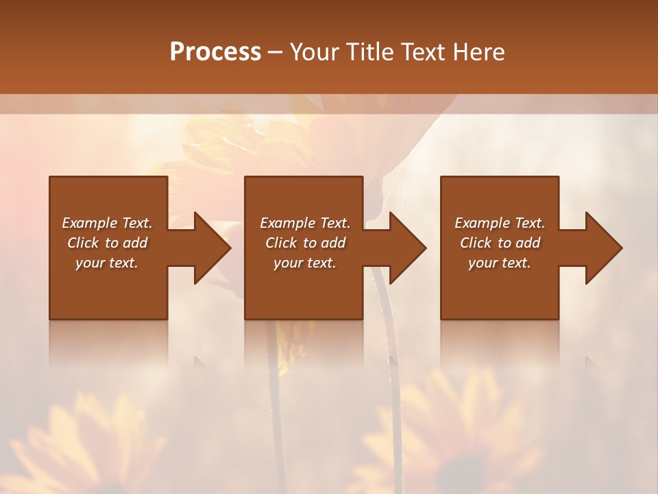 Season Beauty Sunset PowerPoint Template