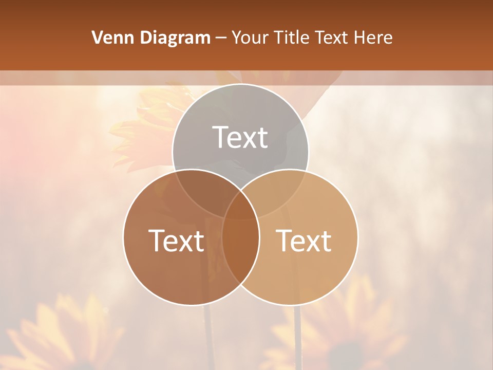 Season Beauty Sunset PowerPoint Template