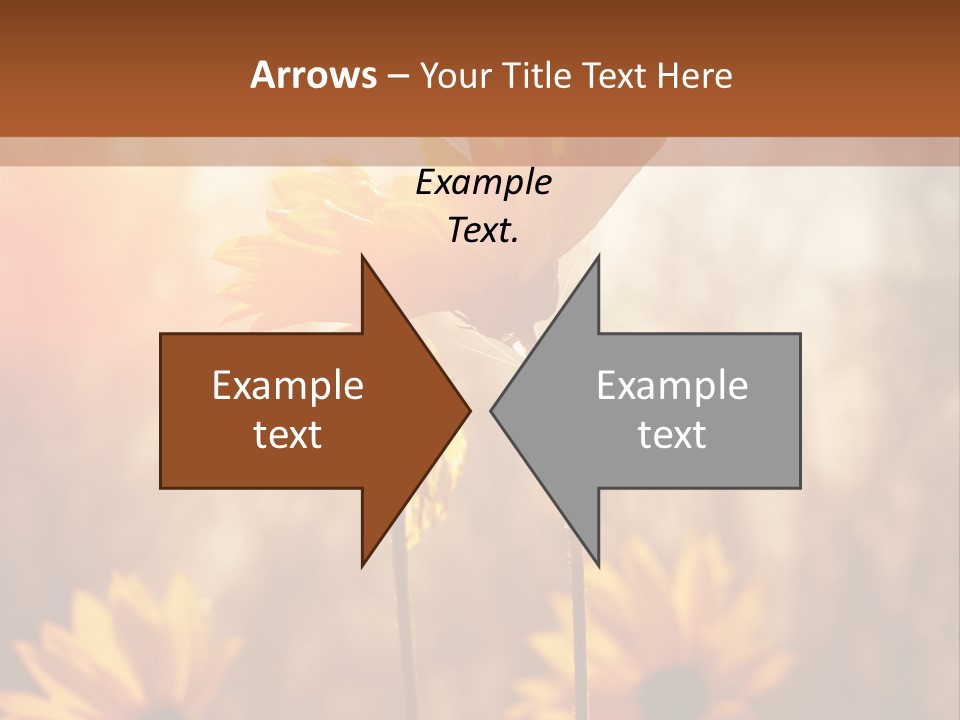 Season Beauty Sunset PowerPoint Template