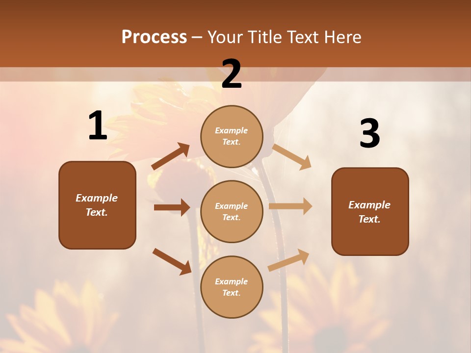 Season Beauty Sunset PowerPoint Template