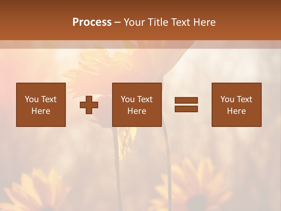 Season Beauty Sunset PowerPoint Template