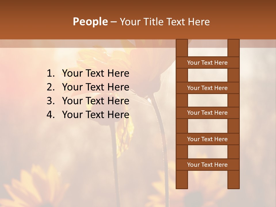 Season Beauty Sunset PowerPoint Template