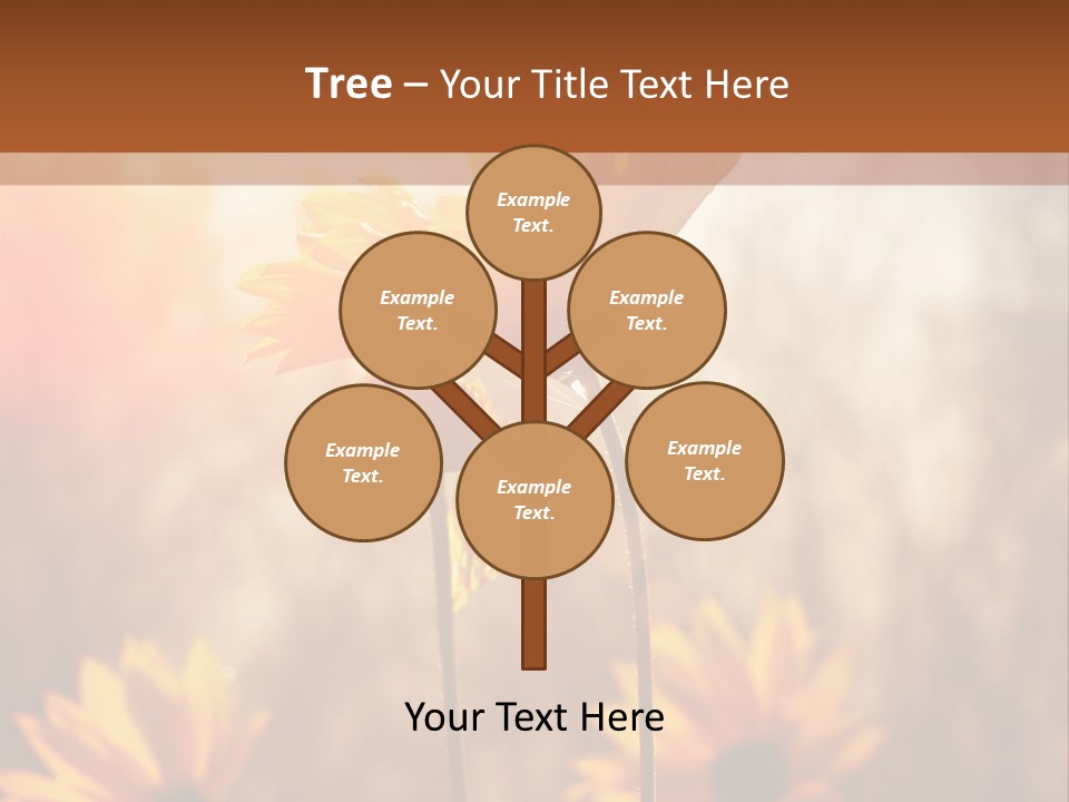 Season Beauty Sunset PowerPoint Template