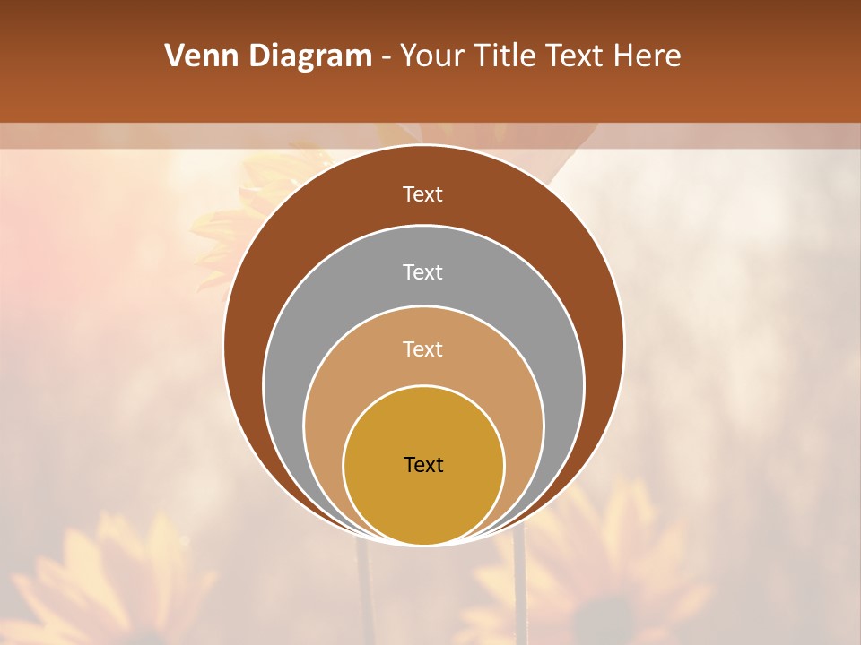 Season Beauty Sunset PowerPoint Template