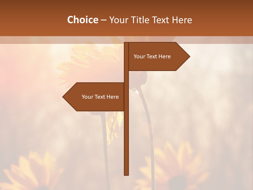 Season Beauty Sunset PowerPoint Template