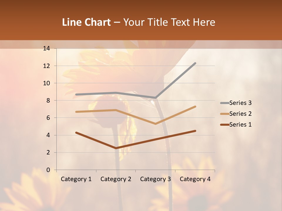 Season Beauty Sunset PowerPoint Template