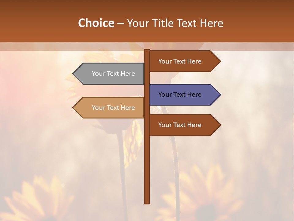 Season Beauty Sunset PowerPoint Template