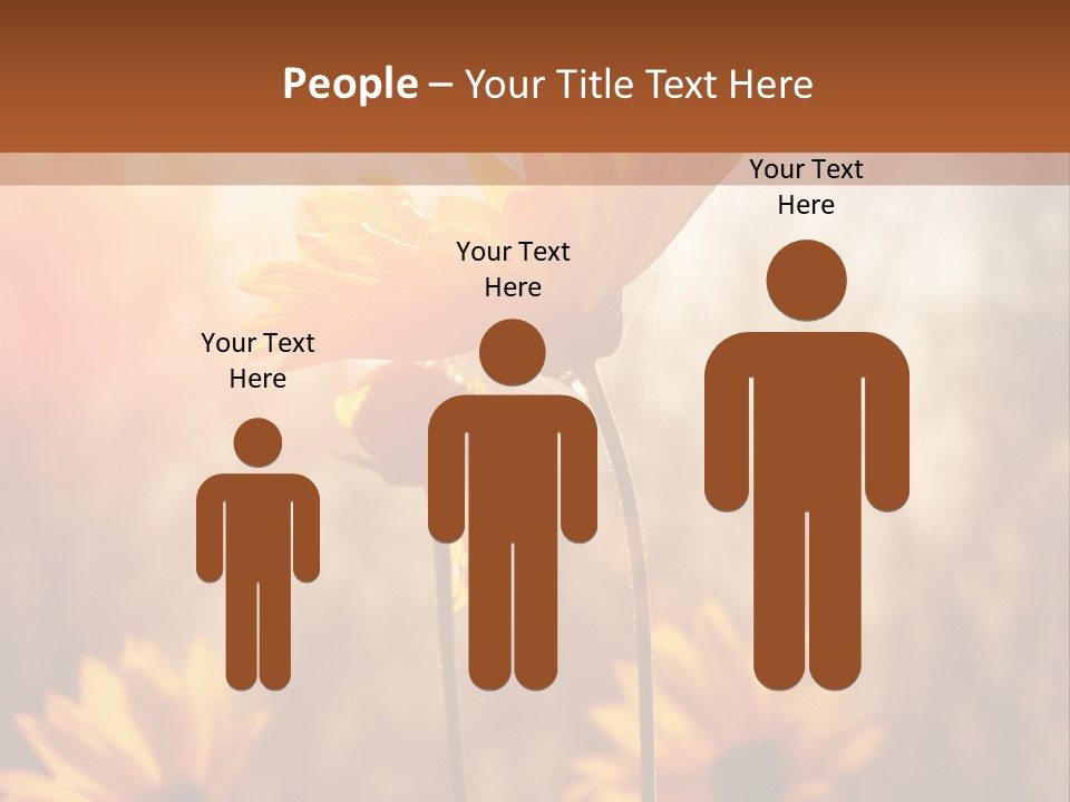 Season Beauty Sunset PowerPoint Template