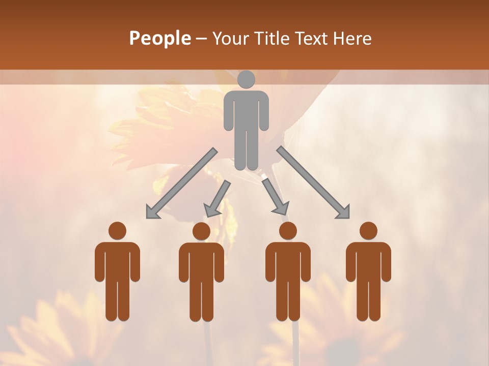 Season Beauty Sunset PowerPoint Template