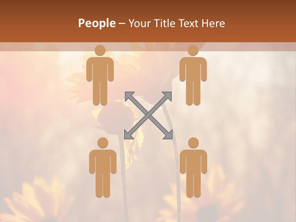 Season Beauty Sunset PowerPoint Template