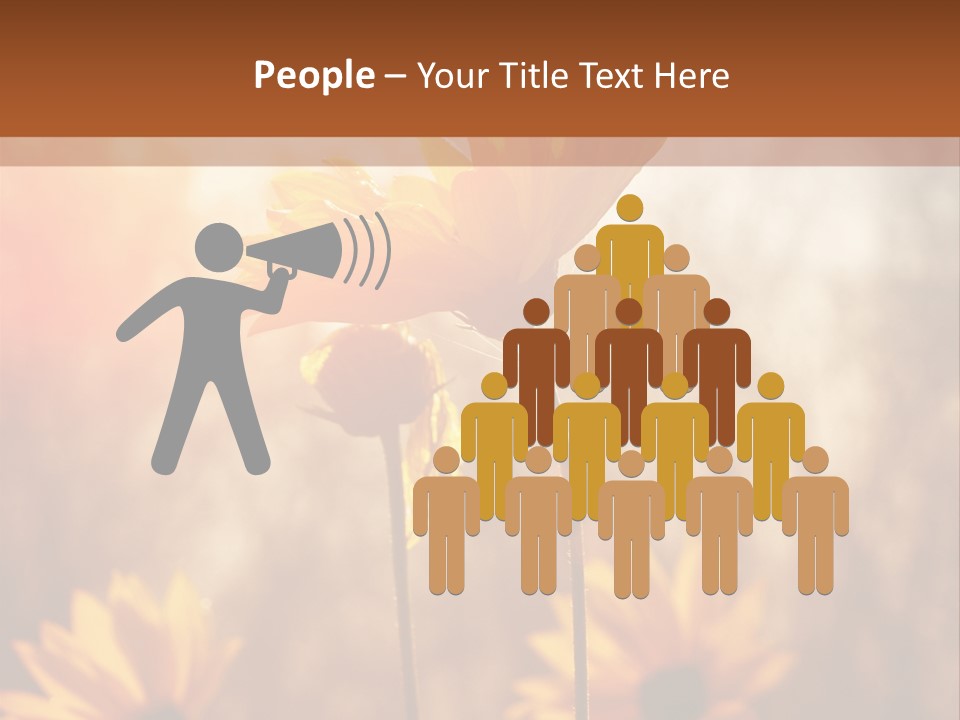 Season Beauty Sunset PowerPoint Template