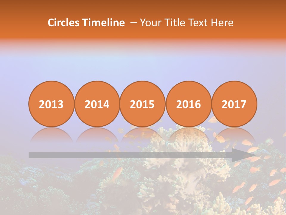 A Group Of Fish Swimming Over A Coral Reef PowerPoint Template