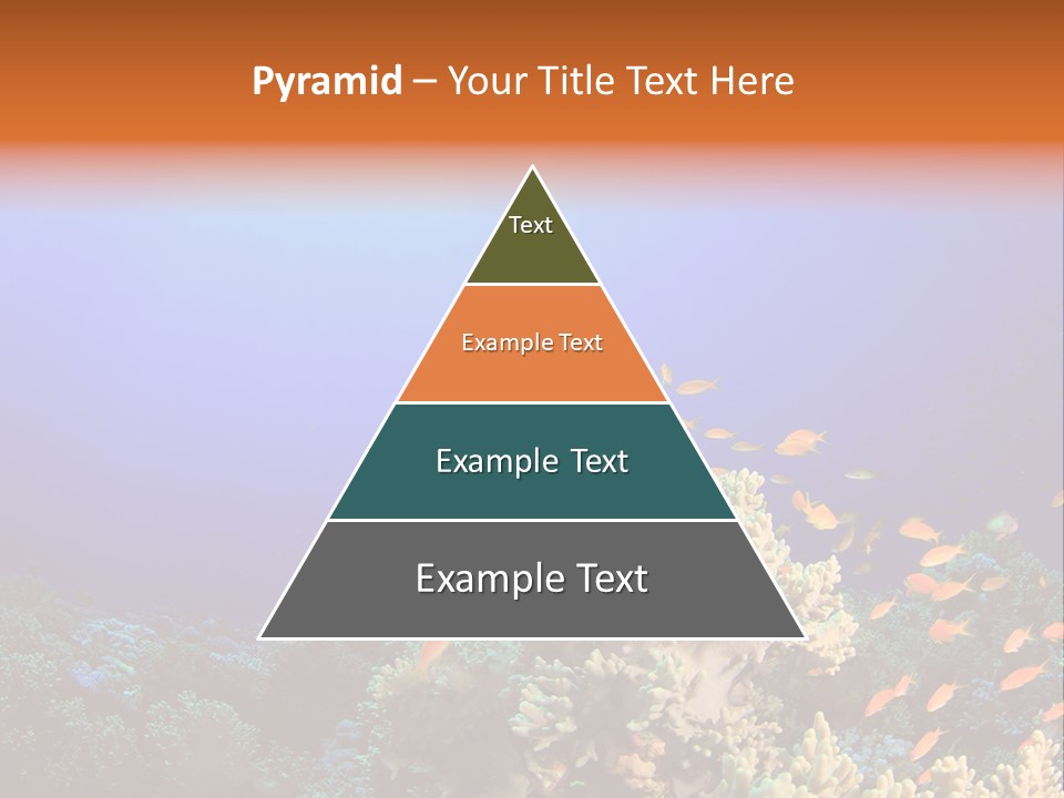 A Group Of Fish Swimming Over A Coral Reef PowerPoint Template