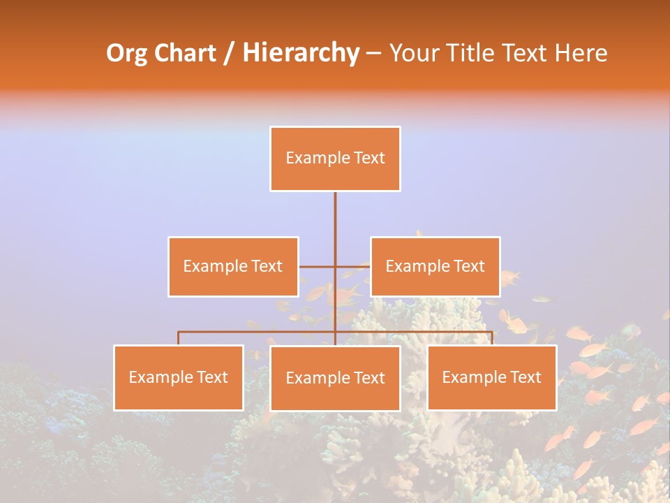 A Group Of Fish Swimming Over A Coral Reef PowerPoint Template