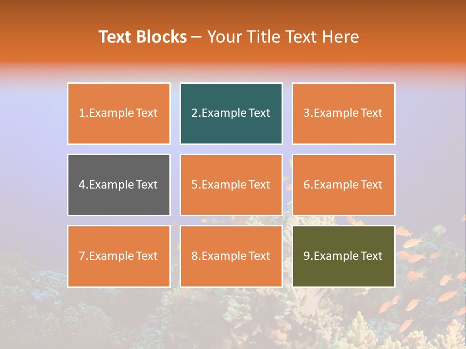 A Group Of Fish Swimming Over A Coral Reef PowerPoint Template