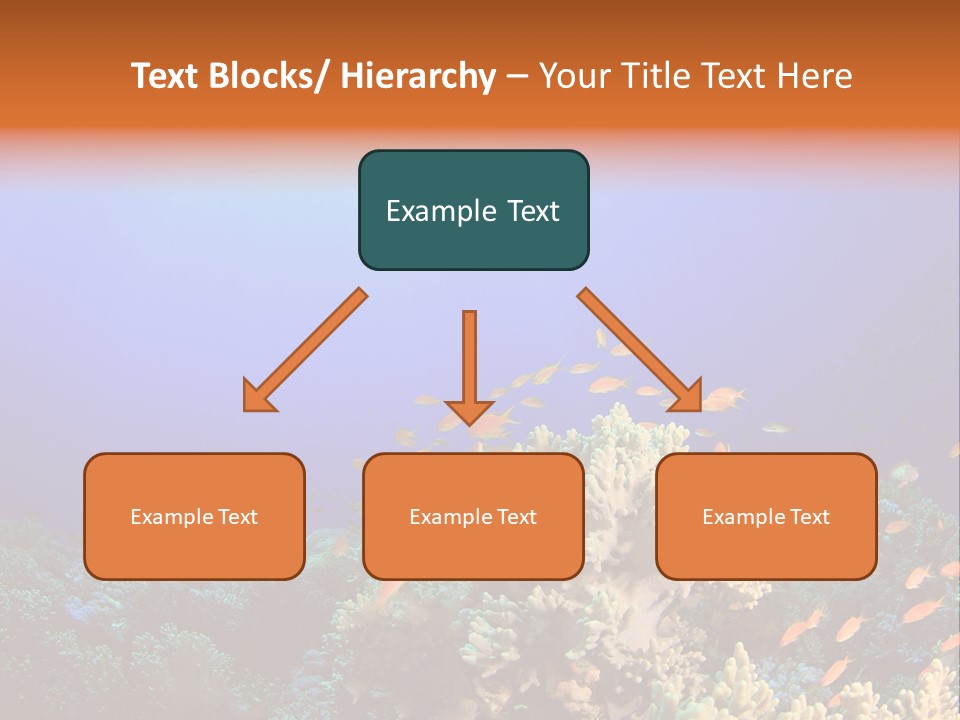 A Group Of Fish Swimming Over A Coral Reef PowerPoint Template