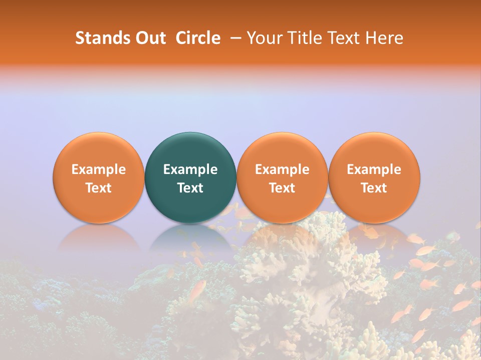 A Group Of Fish Swimming Over A Coral Reef PowerPoint Template