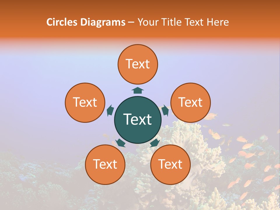 A Group Of Fish Swimming Over A Coral Reef PowerPoint Template