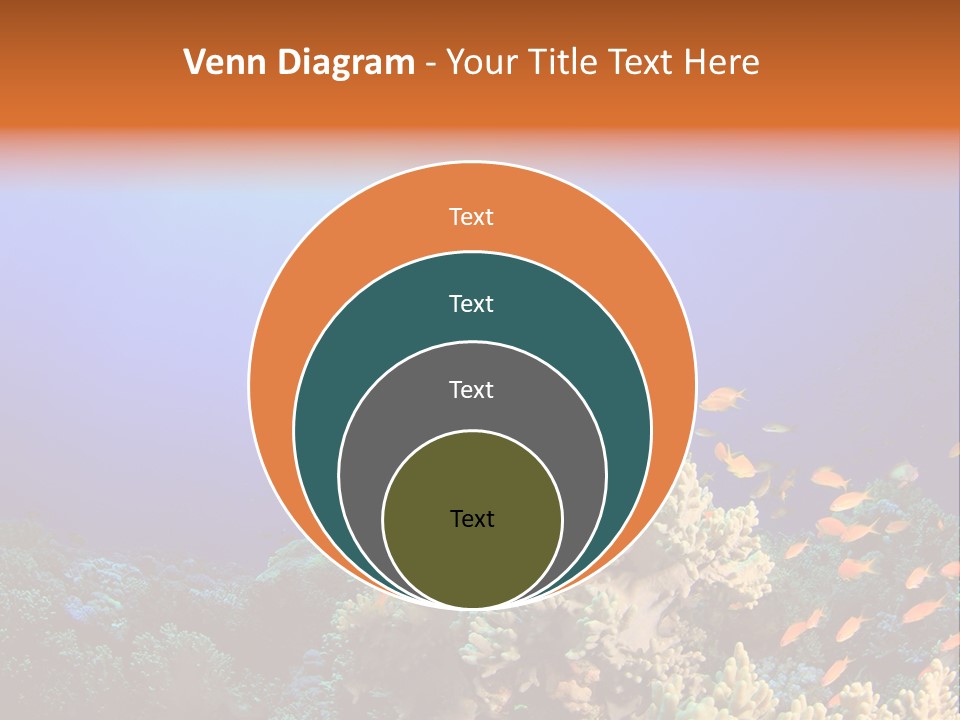 A Group Of Fish Swimming Over A Coral Reef PowerPoint Template