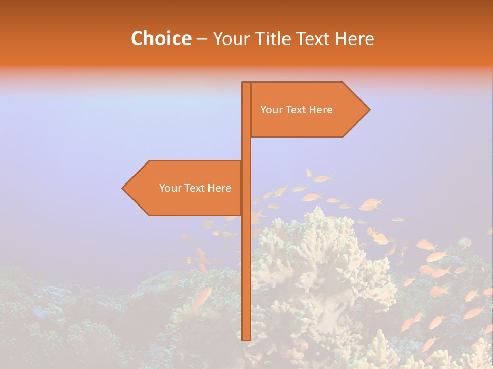 A Group Of Fish Swimming Over A Coral Reef PowerPoint Template