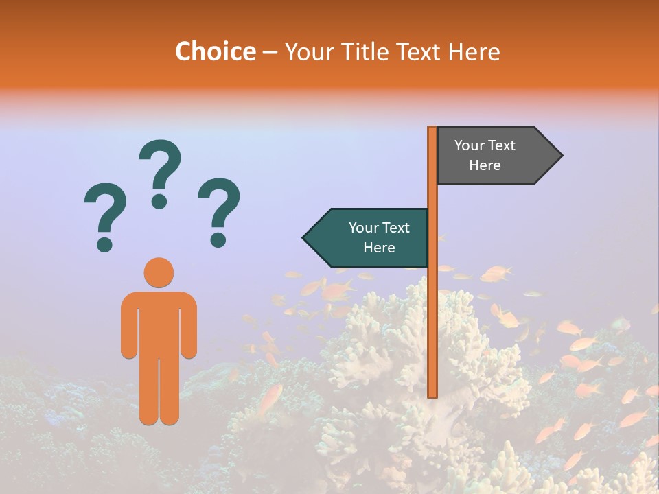 A Group Of Fish Swimming Over A Coral Reef PowerPoint Template