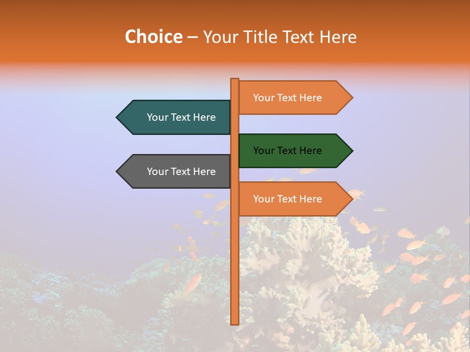 A Group Of Fish Swimming Over A Coral Reef PowerPoint Template