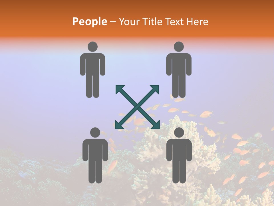 A Group Of Fish Swimming Over A Coral Reef PowerPoint Template