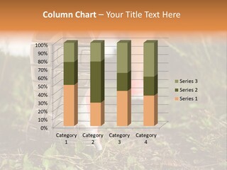 Hike Health Cross PowerPoint Template