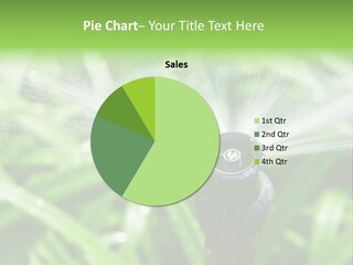 Grass Rural Drop PowerPoint Template