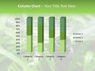 Grass Rural Drop PowerPoint Template