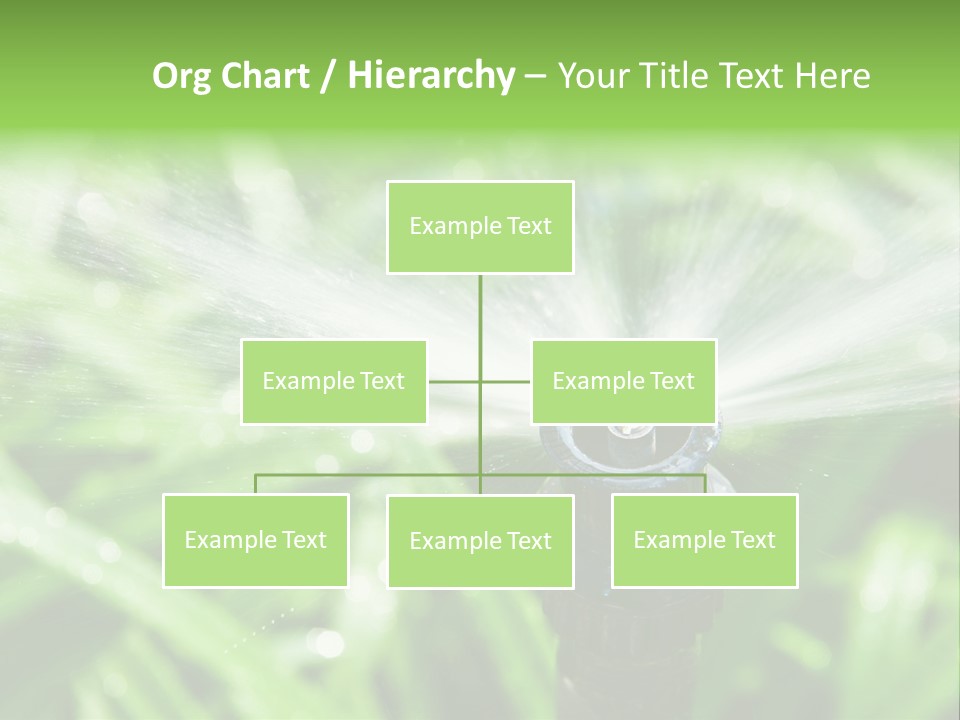 Grass Rural Drop PowerPoint Template