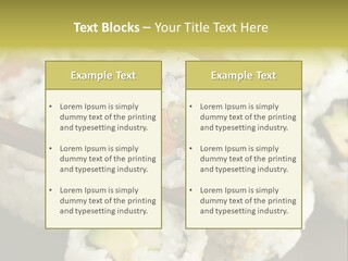 Japanese Asia Meal PowerPoint Template