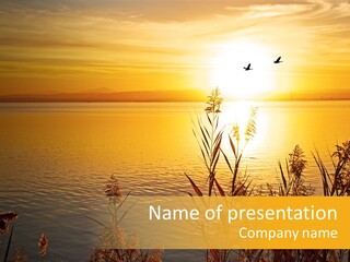 Summer Fish Lake PowerPoint Template