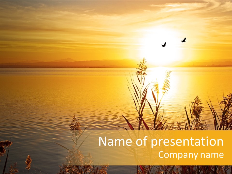 Summer Fish Lake PowerPoint Template