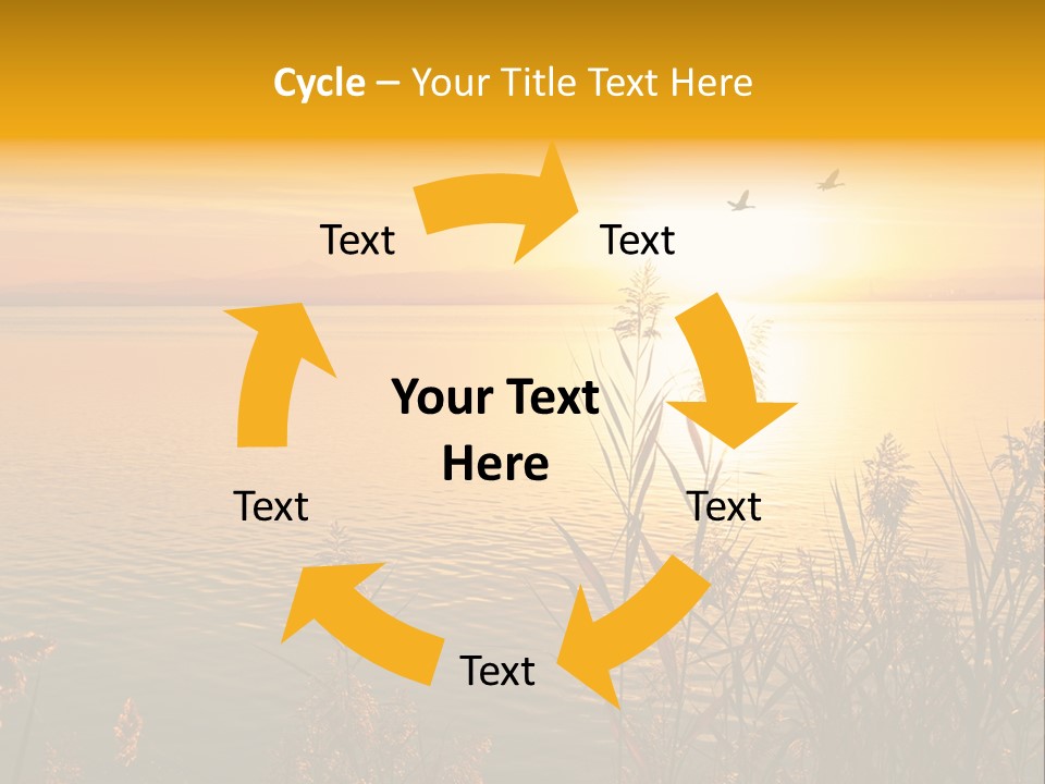 Summer Fish Lake PowerPoint Template