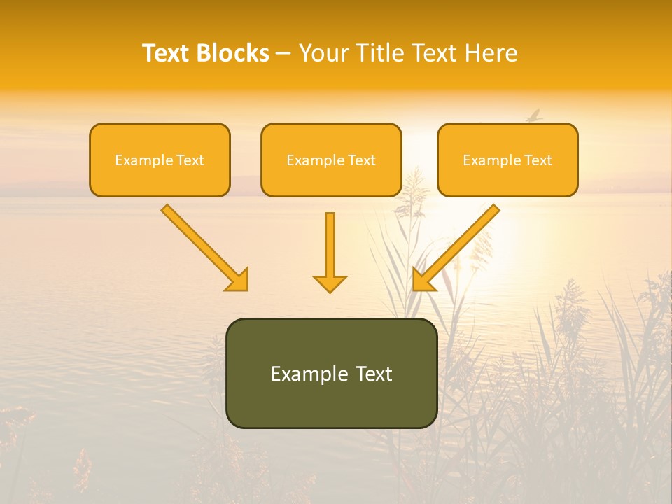 Summer Fish Lake PowerPoint Template
