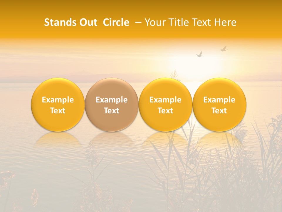 Summer Fish Lake PowerPoint Template