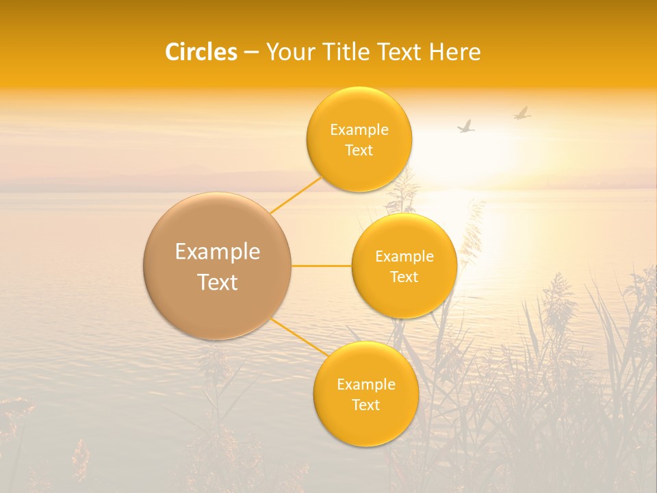 Summer Fish Lake PowerPoint Template