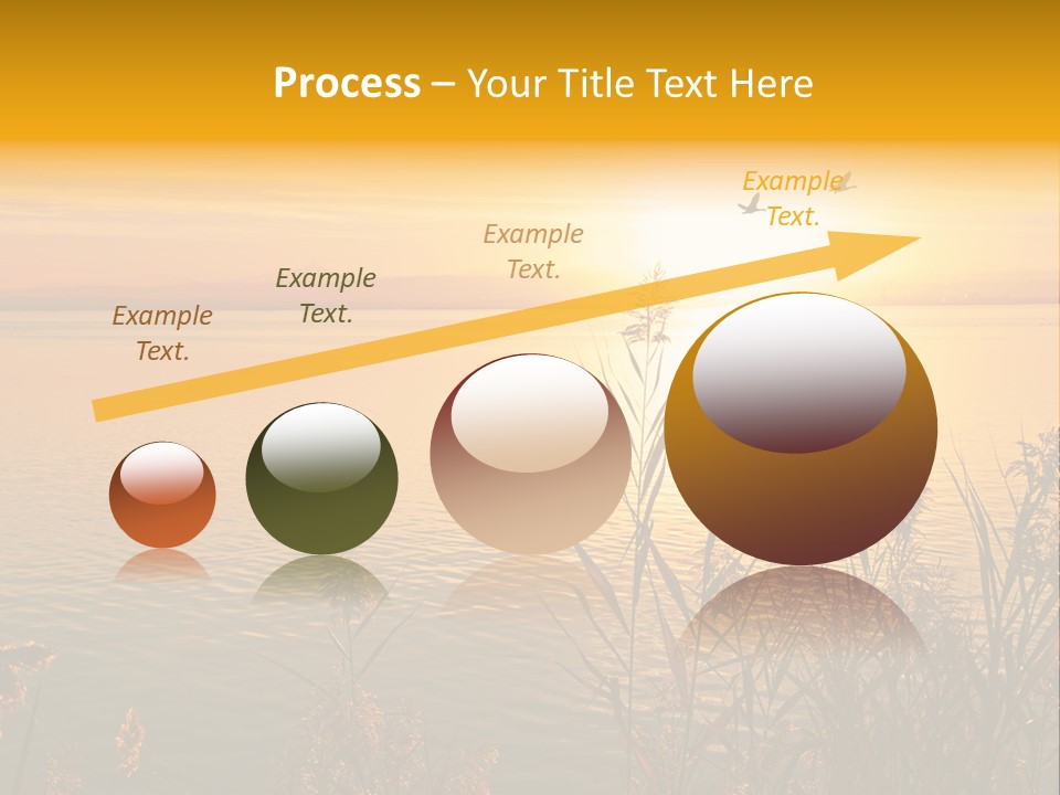 Summer Fish Lake PowerPoint Template