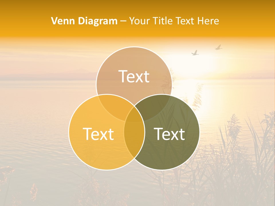 Summer Fish Lake PowerPoint Template