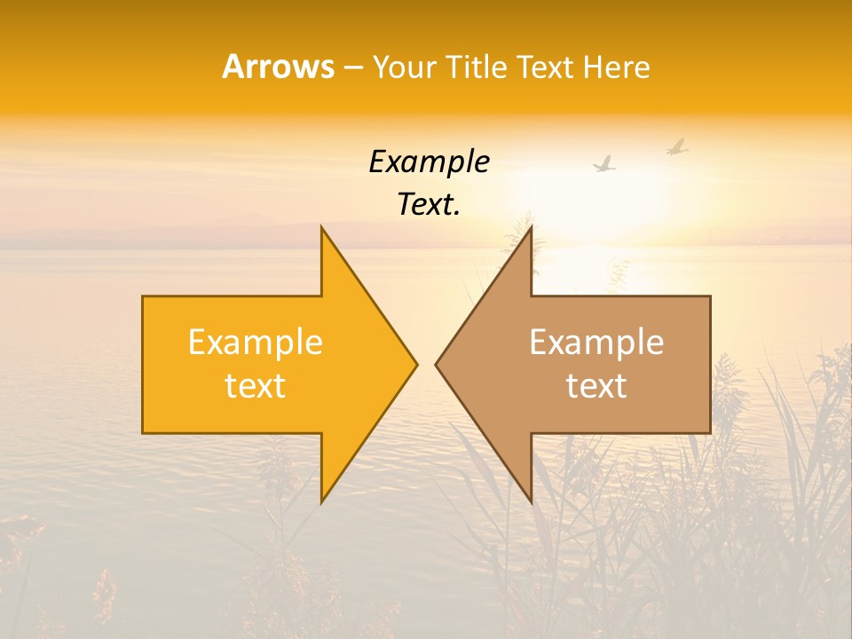 Summer Fish Lake PowerPoint Template